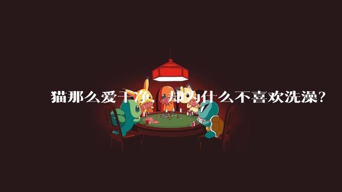 猫那么爱干净，却为什么不喜欢洗澡？