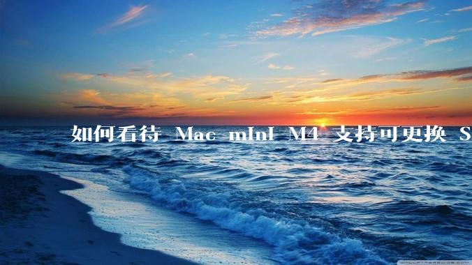 如何看待 Mac mini M4 支持可更换 SSD？
