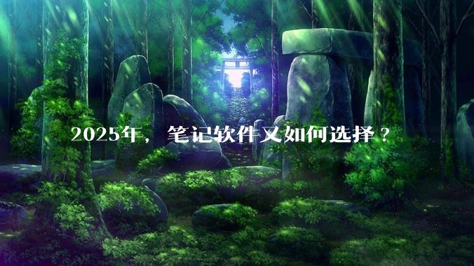 2025年，笔记软件又如何选择?