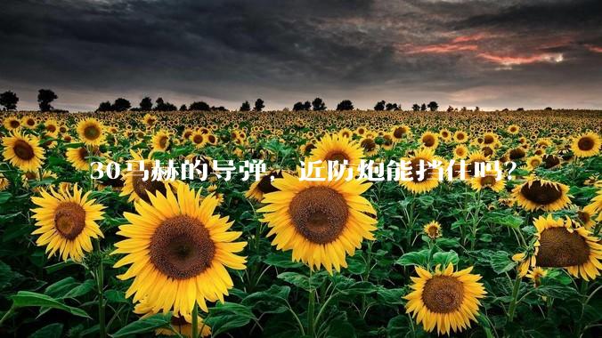 30马赫的导弹，近防炮能挡住吗？