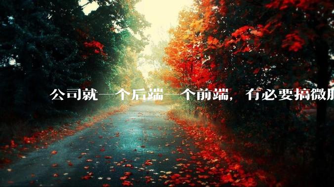 公司就一个后端一个前端，有必要搞微服务吗？