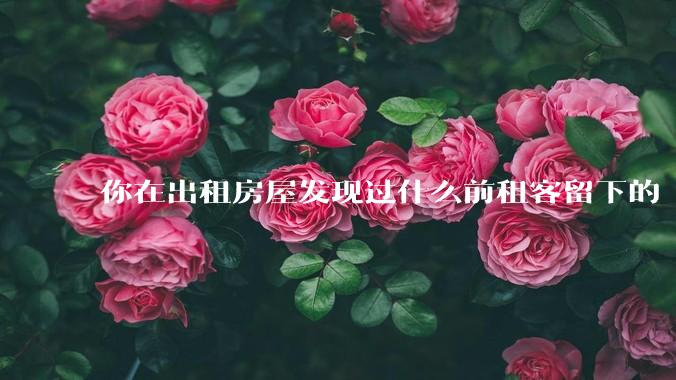 你在出租房屋发现过什么前租客留下的“宝藏”？